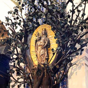 Świętolipskie drzewko w Świętolipskim kościele